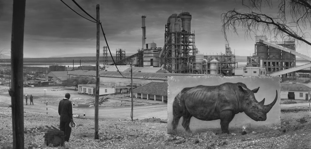 FACTORY WITH RHINO 3800px1