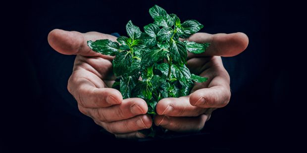 8d2c2b79be257d1003b5f6875b1a3ece