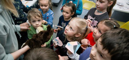 41c9120bc39a82d0a87d88c5920b5cc2