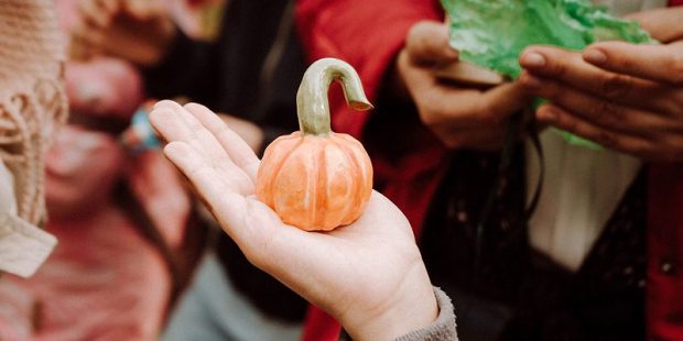 «Зеленоград. 65 историй о городе» в Музее Зеленограда 1 e29fc3af594e7ea8e50696363f9a7d97