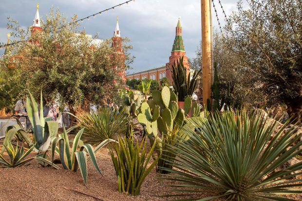 0120aa5648367378fb4310b1b23d7e84