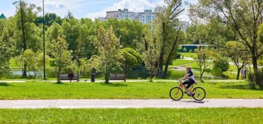 09a06c1dad8cc770c3be97dc12d44b38