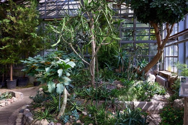 19337cad5447ce6d72b1d8f48c2d429c