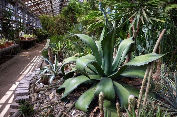 28f3bb71440f33ccfac49ac487d9a8b0