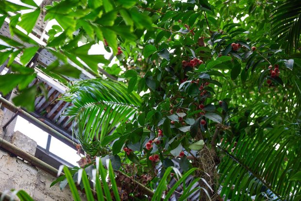 2d160ffbed396b66c71eb13c53db8d68