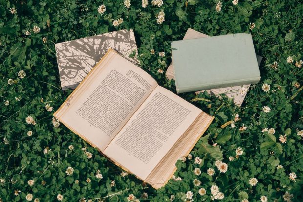 Пленэры, спорт и концерты: Собянин рассказал, как детям провести лето в Москве 3 3c8713945b9f2229c40723fc5d814478