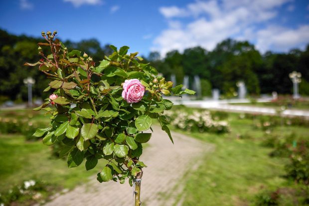 464ee2a3b50436479f0104ca7344d6c5