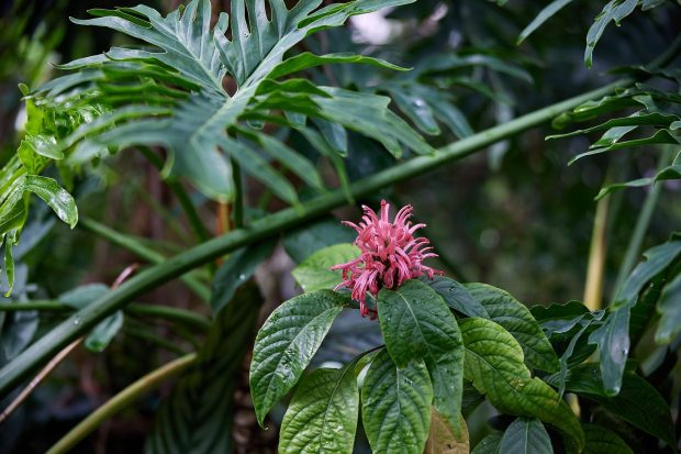 528a41481d9f336e488118e8b8c92957