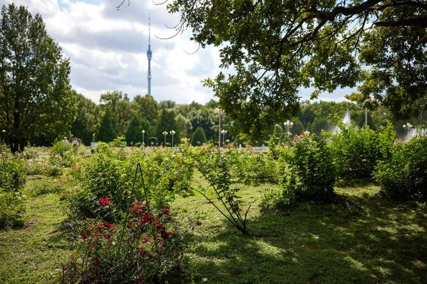 549645c53dee46e51e4eb097f4fae3ce