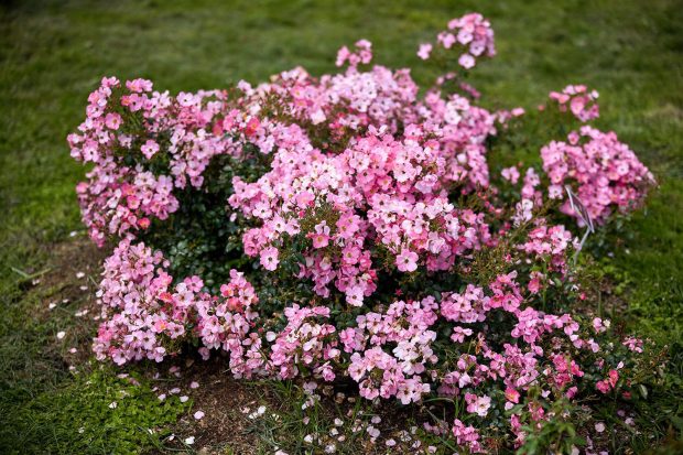 7aecbbf93372fad164db6e64b9d90900