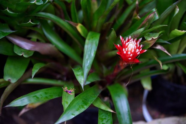 8ba6b24984c1e158bd6b5855641171aa