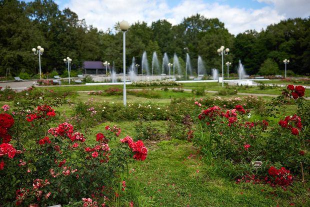 8ee11f7b92ba1d54b88fa2525789a2a8