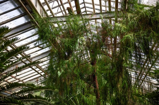 92ba31511477c1889d93f53403f3befe