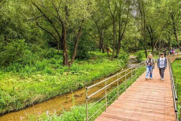 94c9d6ae5d4b8c6c2411ff881bed5484