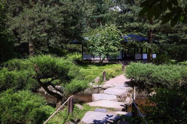 98c598b291b4659b8cf4fc4af568dd28