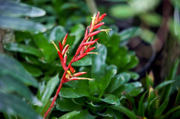 99601bc3c8910ab36ee107f066c3c7f2