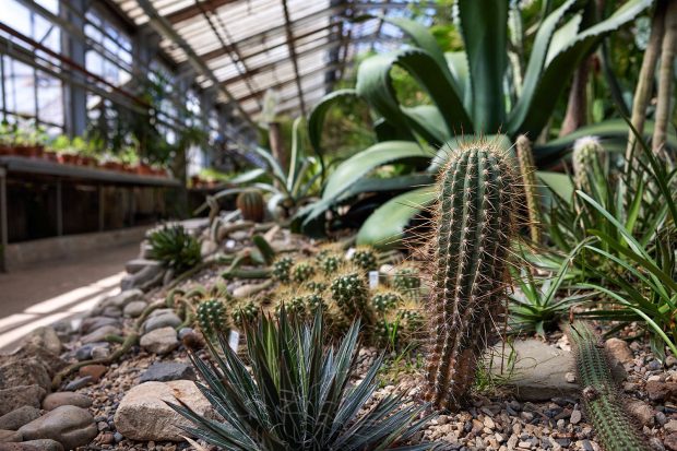 999a32cd6e8406dfebb424fc30fb1640