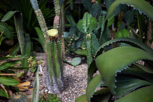 b14a343ace80fa0480d0e9ef2a77c8d0