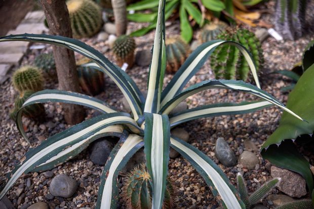 b2332517f988a3b44336b08853e7a5f2