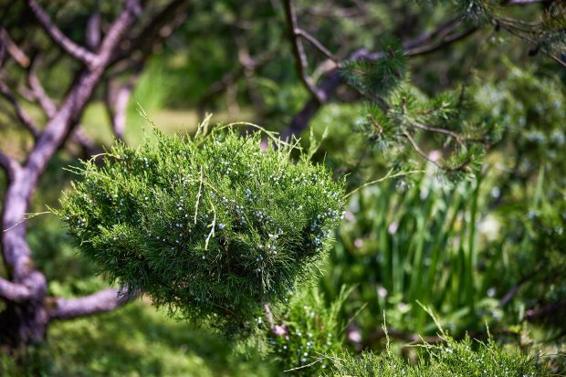 b53b4837b9b3732092b648e936eb3f69