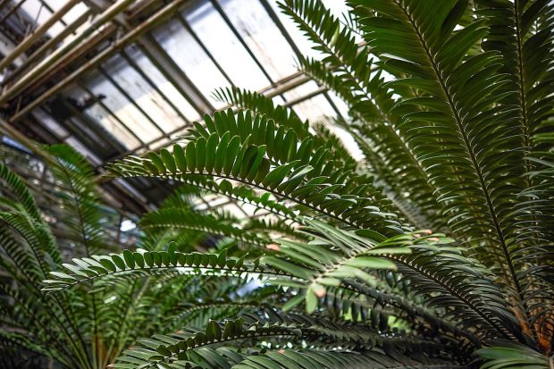 c4edfebb6e8b5cf70a2d814beecde0e7