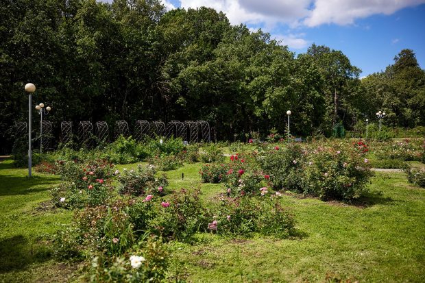 d038eda36c991cb0bb1b92dac332be48