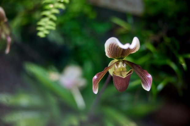 d49ab66832267f817a2bdaadf2109579