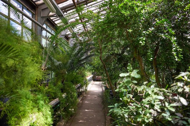 d5276ea766ef3084f1291d353cdb0d46