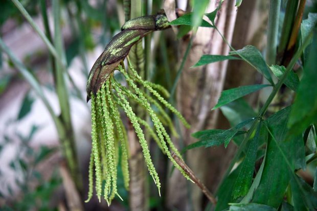 de530f714bea2addc66bca40fb7f1547