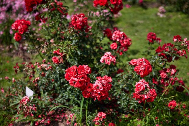 dfc903a9f19b3bffad1c5437696adef6