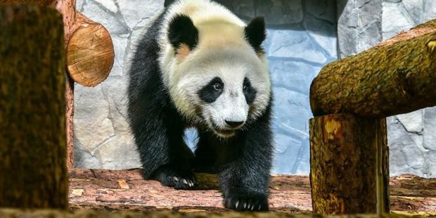 ea3518eed8609d8b614daf937a97d286