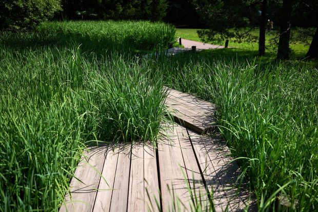 f39a718016eefcf7582879f8bbdf7a23