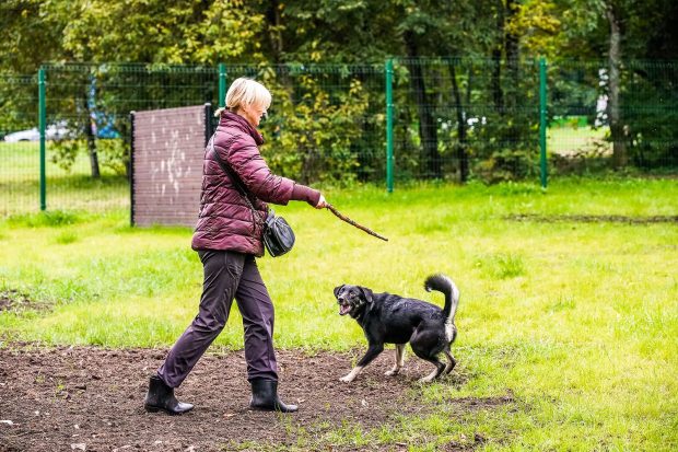 f663477006e616e573ac639d55ba1a48