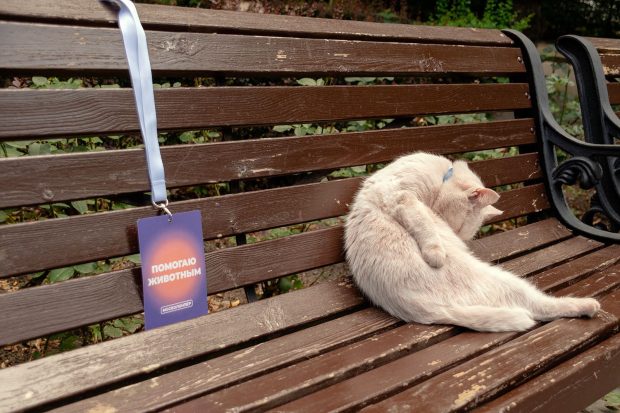 1851541d11127a770e05f9ae8b74a987