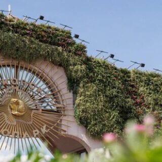 24e2885f1c99c5da339c8cd02ec8e09a