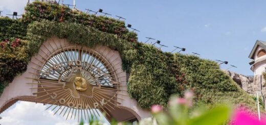 24e2885f1c99c5da339c8cd02ec8e09a