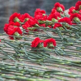 285d5d3c2e4f0c9ed65a1d99fc45cb75