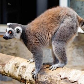 2bba0d6412f8fbdca14736d96d4d8759