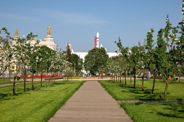 Ровесник ВДНХ: Мичуринский сад отмечает 85-летие 3 5db515e1450fc85b0c543227a8413afb