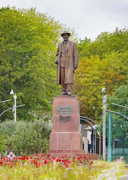 Ровесник ВДНХ: Мичуринский сад отмечает 85-летие 4 7eb5e989098cc0a9f7a7467b167964bc