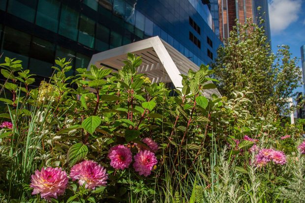 92c15b730e21826c3e639bccb4e3ba82