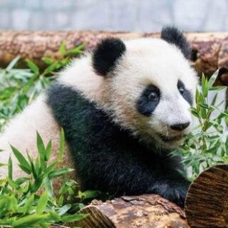 9becc9087bef03804b27650f70d83b0b