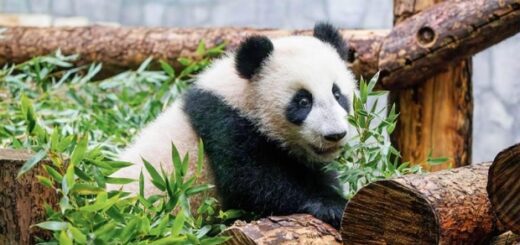 9becc9087bef03804b27650f70d83b0b