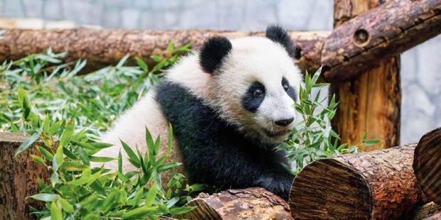 9becc9087bef03804b27650f70d83b0b