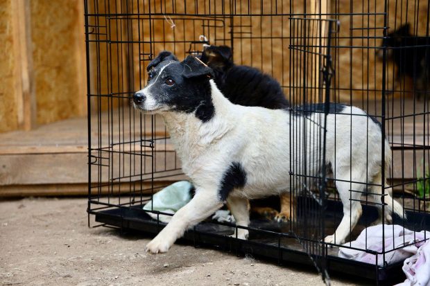 Собянин: Волонтеры передали в Курскую область новую партию гуманитарной помощи 10 bf1f320f341655c2532b4bf58a052e8c