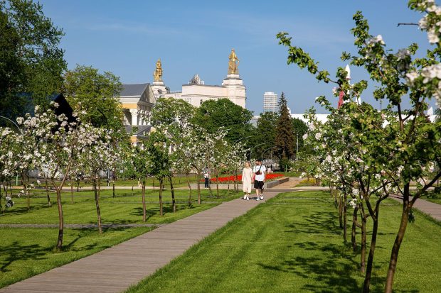 Ровесник ВДНХ: Мичуринский сад отмечает 85-летие 2 ee2b210ae885f654e755be336a5f69cf