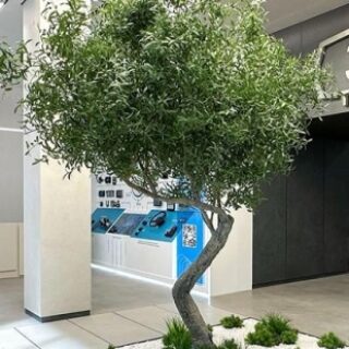 2a8d49668fb15235e450d6e80cf56a14