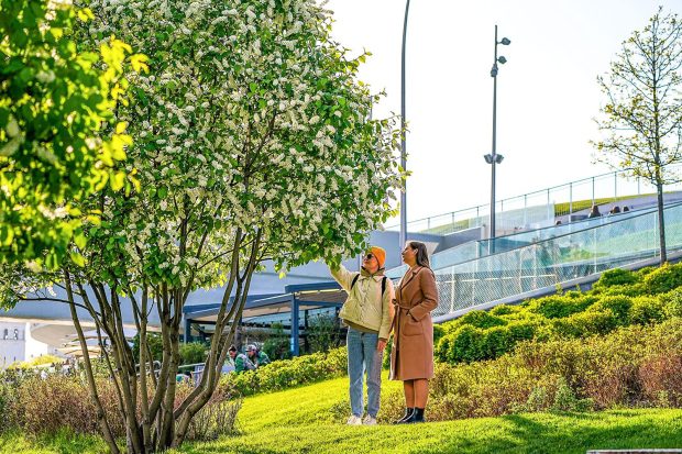 Сергей Собянин представил стратегию улучшения качества городской среды 7 358ff43c4bdaaad172c40d7a47a0f260