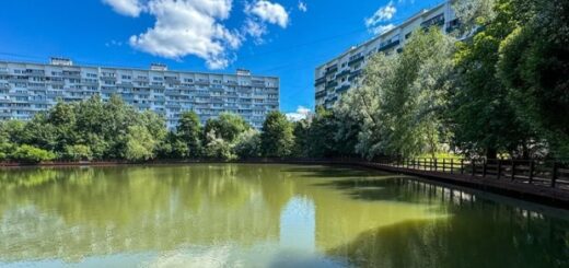 4989a41aa19bbf668f21d745980db386