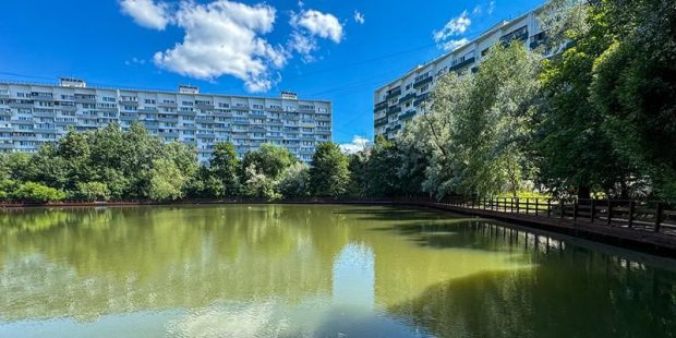 4989a41aa19bbf668f21d745980db386